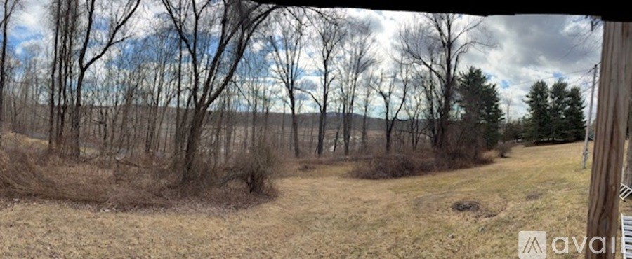 A field with trees and a cloudy sky.