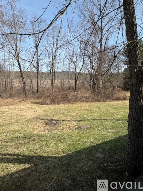 A field with a tree and a hole in the ground.
