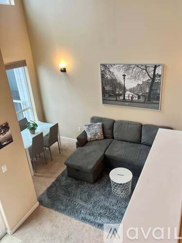 A living room with a grey couch, a small table with a plant on it, and a framed black and white photo on the wall.