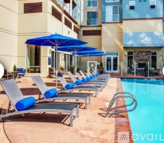 A row of sun loungers are arranged on the edge of a pool.