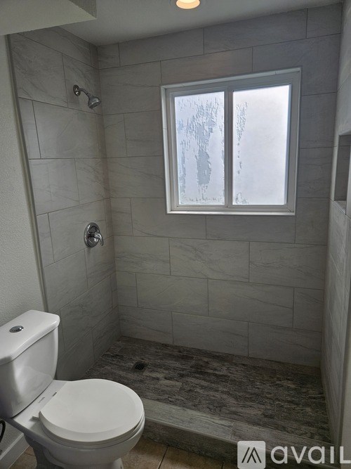A bathroom with a toilet, a shower, and a window.