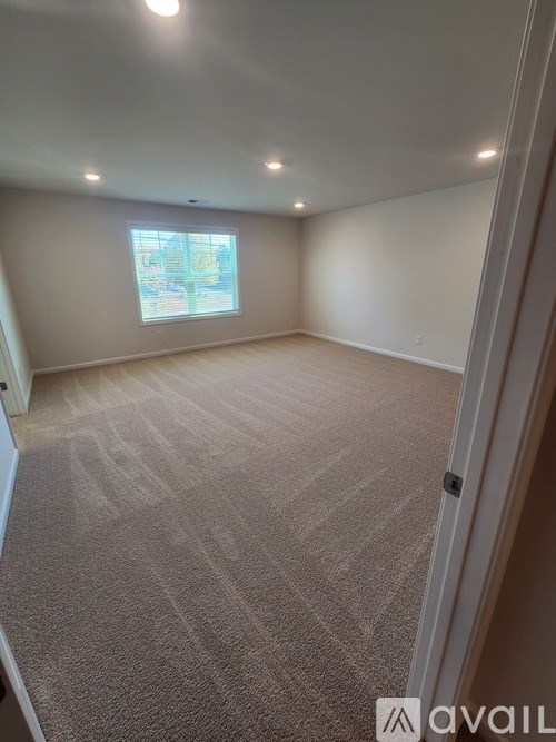A room with a carpeted floor and a window.