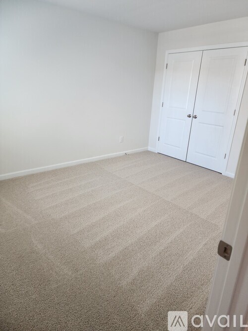 A room with a carpeted floor and a white closet.