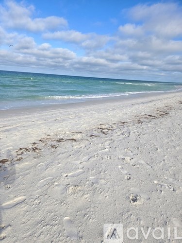 A beach with footprints in the sand leading to the water.
