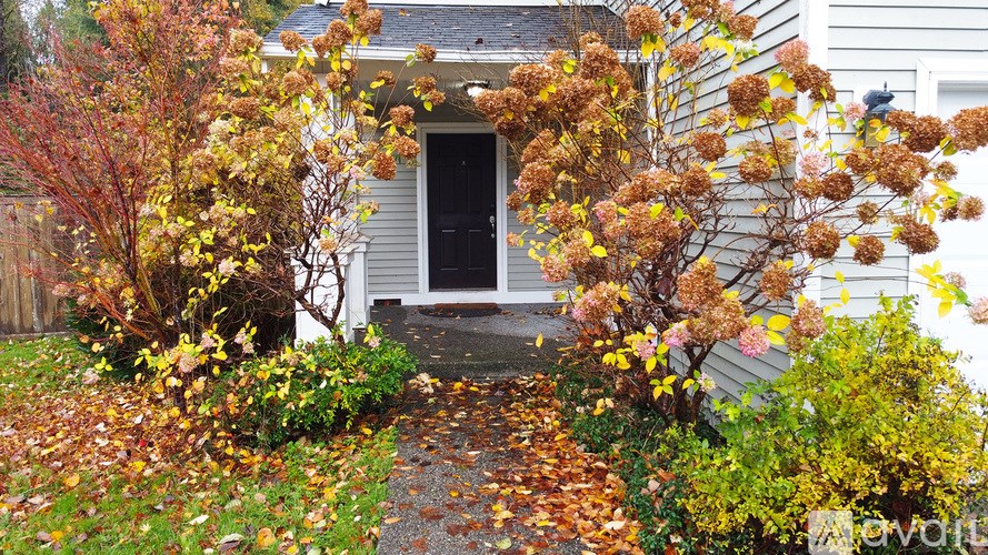 A house with a black door surrounded by trees and plants.