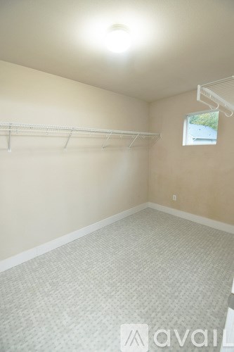 A room with a grey carpet and a window with a white frame.