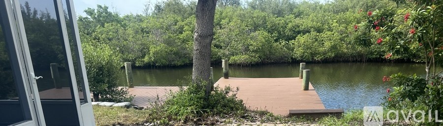 A wooden dock extends into a body of water surrounded by greenery.