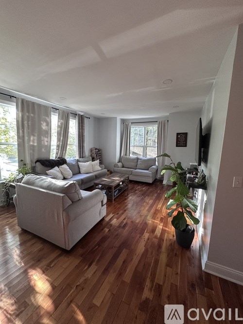 A living room with a couch, a chair, a potted plant, and a television.