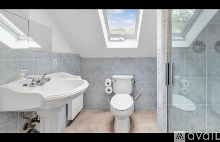 A bathroom with a skylight and a glass shower door.