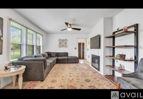 A living room with a grey couch and a rug.
