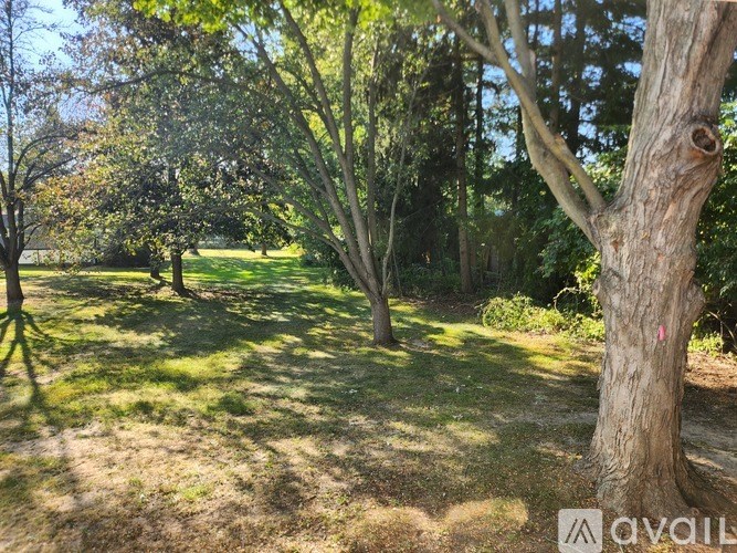 A tree in a field with a sunny sky.