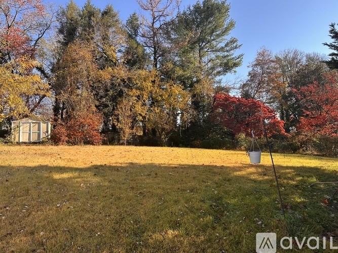 A field with trees and a white bucket on a pole.