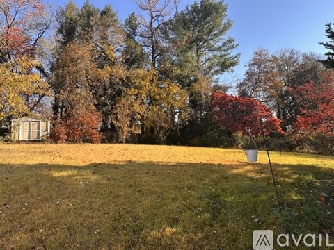 A field with trees and a white bucket on a pole.