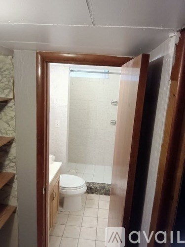 A bathroom with a toilet and a walk in shower.
