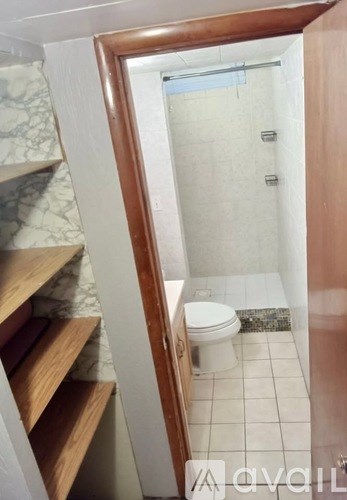 A bathroom with a toilet and a walk-in shower.