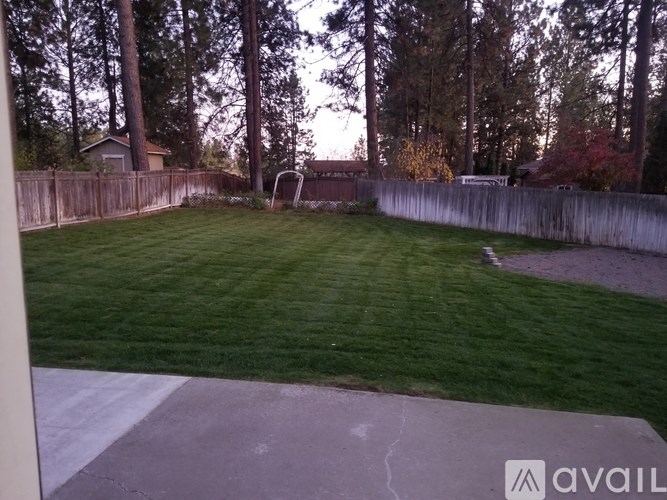 A backyard with a green lawn and a concrete patio.