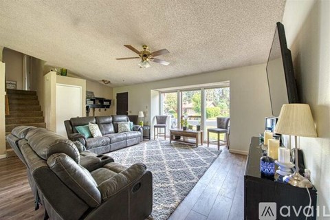 A living room with a sofa, a chair, a television and a rug.