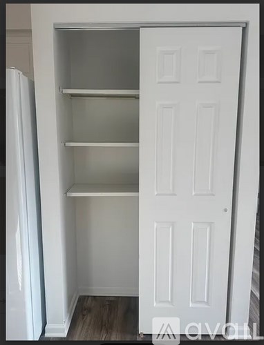 A white door is open to a small pantry with shelves.
