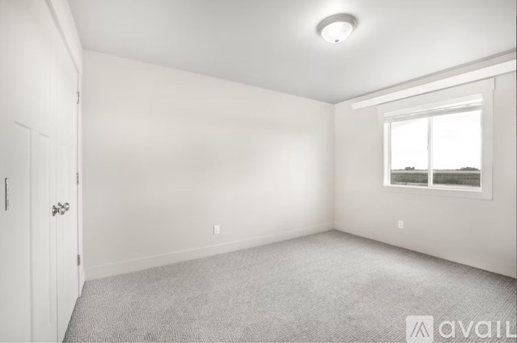 A room with a carpeted floor, a door, and a window.