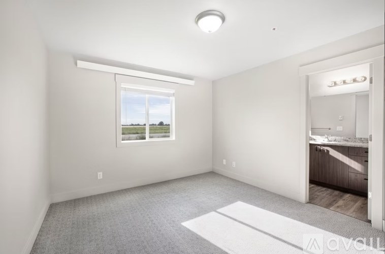 A well-lit, empty room with a large window and a carpeted floor.