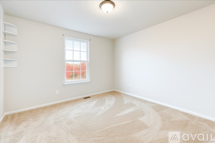 A room with a window and a carpeted floor.