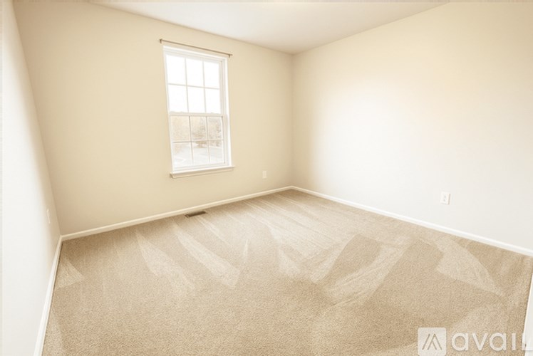 A room with a carpet and a window.