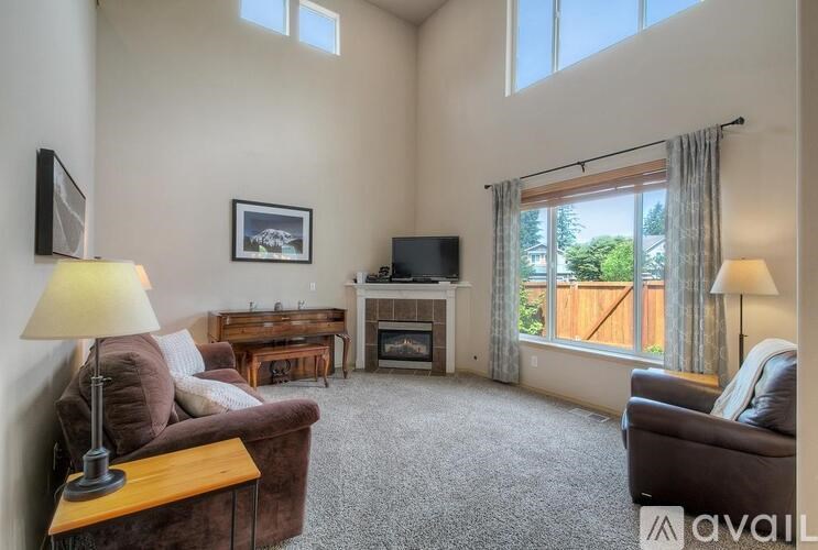 A living room with a couch, a chair, a lamp, a television, and a fireplace.