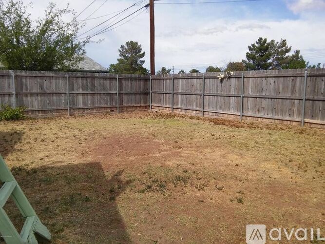 A backyard with a wooden fence and a green gate.