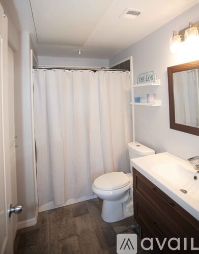 A bathroom with a toilet, sink, and shower curtain.