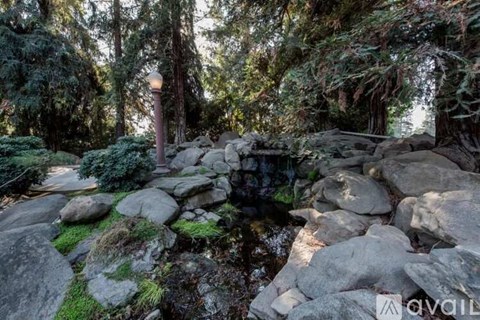 A stream flows through a rocky landscape with trees in the background.