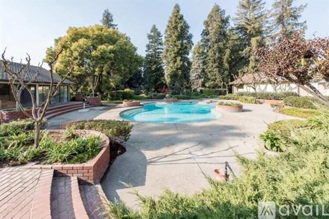 A backyard with a pool and a tree.