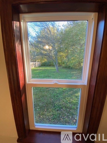 A window with a view of a tree and a lawn.