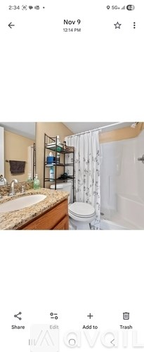 A bathroom with a toilet, sink, and shower curtain.