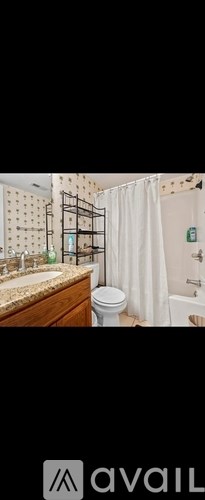 A bathroom with a toilet, sink, and shower curtain.