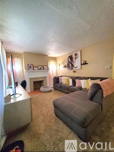 A living room with a grey couch and a fireplace.