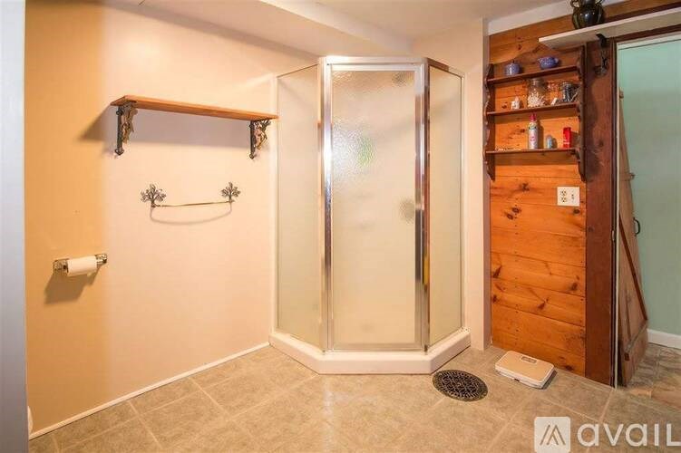 A bathroom with a walk-in shower and a wooden cabinet.