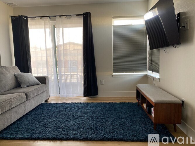 A living room with a grey couch, a blue rug, and a flat screen TV mounted on the wall.