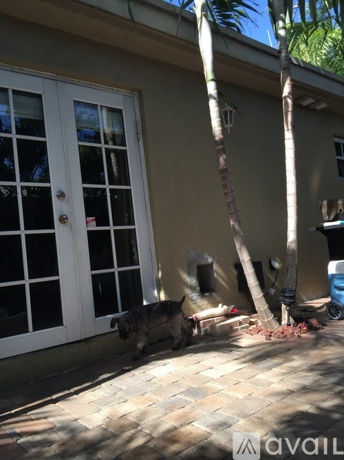 A dog is standing in front of a white door.