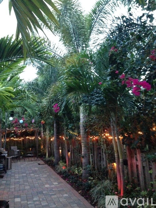 A pathway with lights and trees on either side.