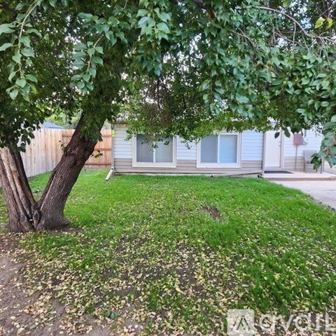 A tree with green leaves in front of a building.