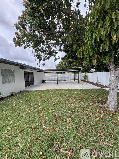 A backyard with a tree and a house.