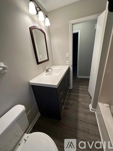 A bathroom with a white sink and a mirror above it.