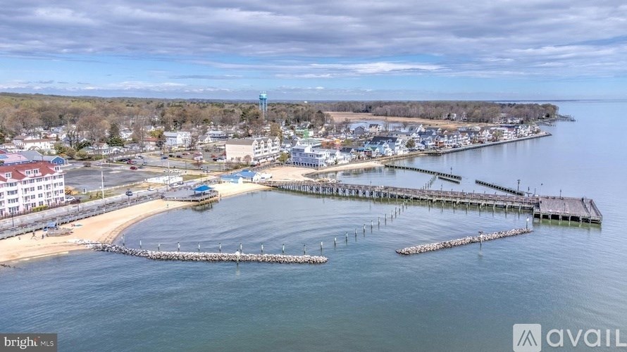 A bird's eye view of a coastal town with a pier extending into the water.