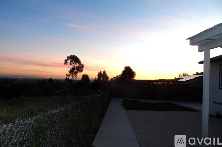A sunset view with a pathway, a fence and a tree.