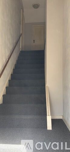 A staircase with a carpeted runner and wooden handrails.