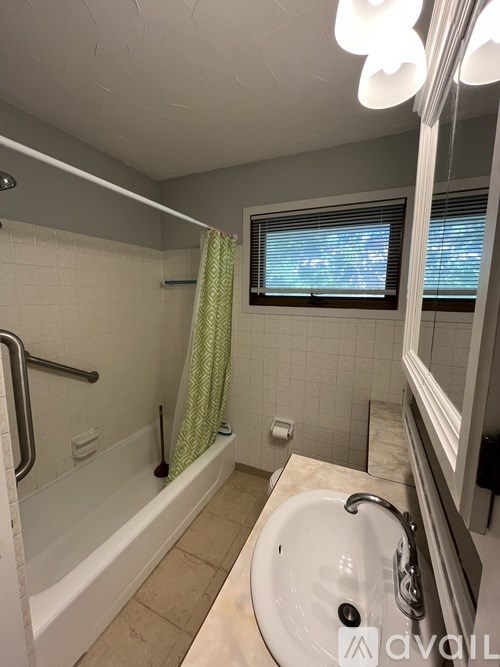 A bathroom with a white sink and a green shower curtain.
