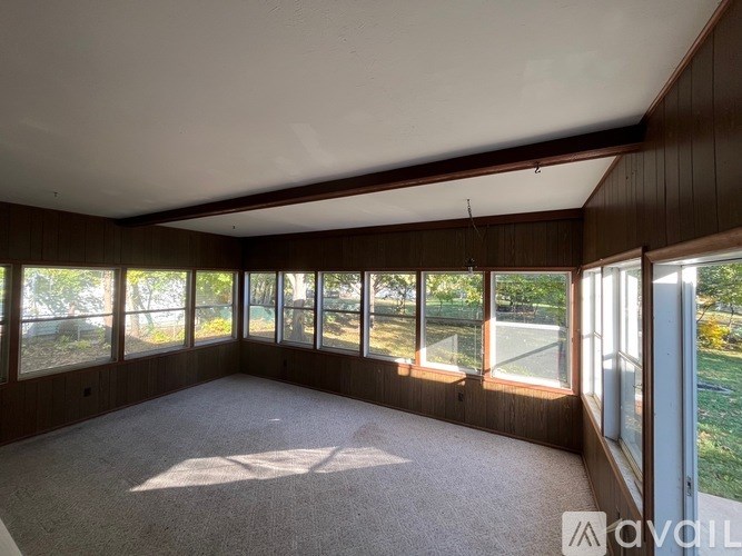 A sunny room with large windows and a carpeted floor.