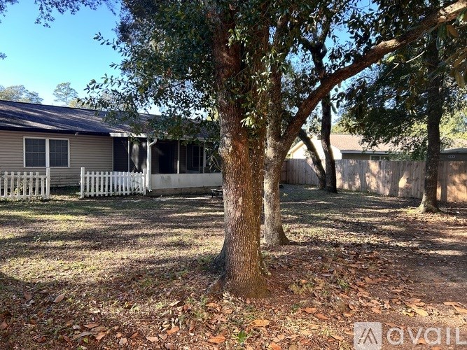 A tree stands in the middle of a yard with a house and fence in the background.