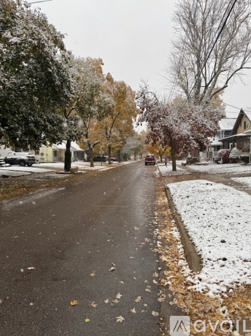 A snowy street with trees and fallen leaves.