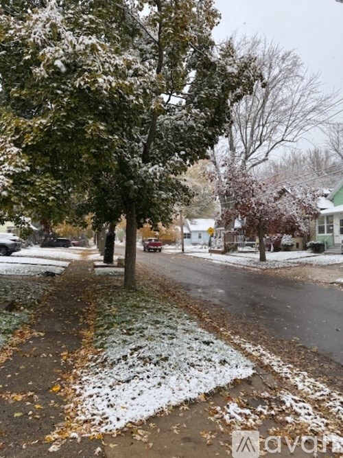 A tree with snow on its branches stands on a sidewalk.